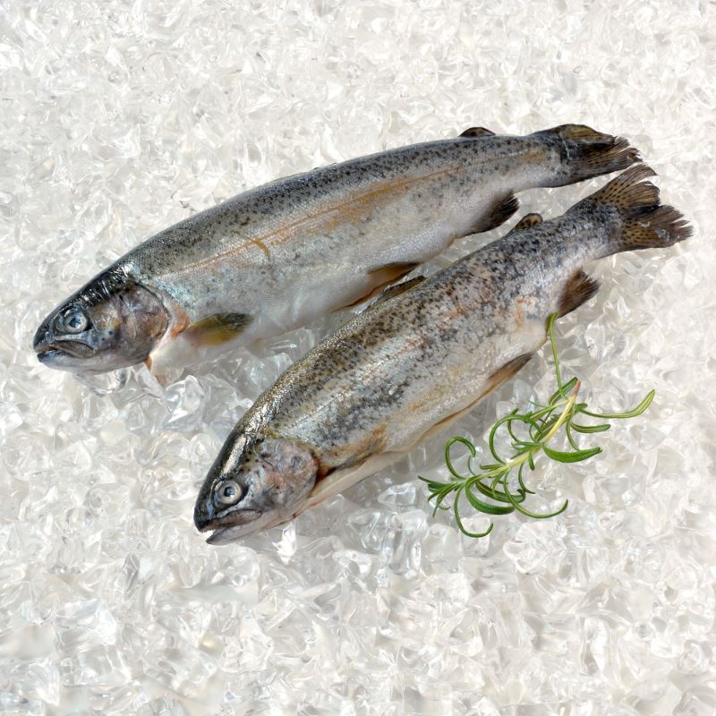 Obrázek Pstruh kuchaný s hlavou 250 g