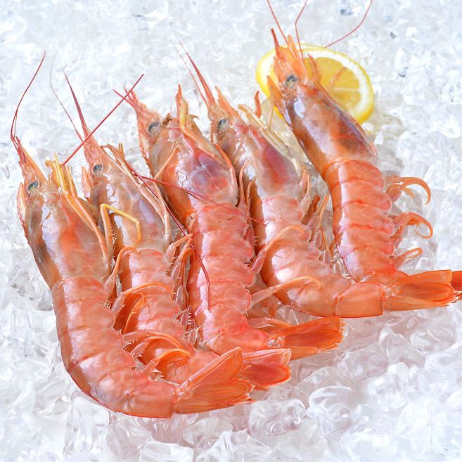 Obrázek Krevety celé, na moři zmrazené, vel. 10 - 20, 500 g