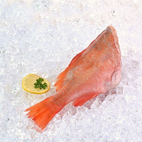 Obrázek z Redfish, rotbarsch - mořský okouník cca 2kg 