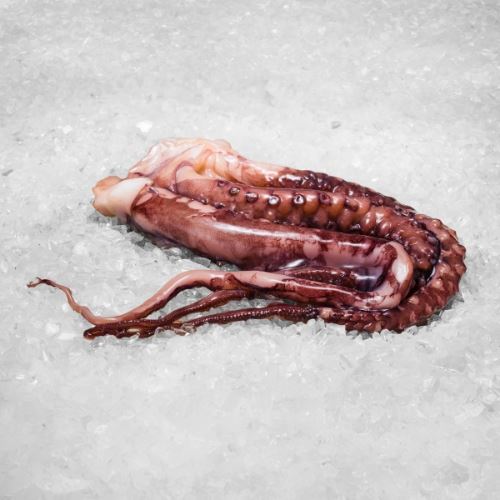 Obrázek Chapadla z chobotnice 1000 g 