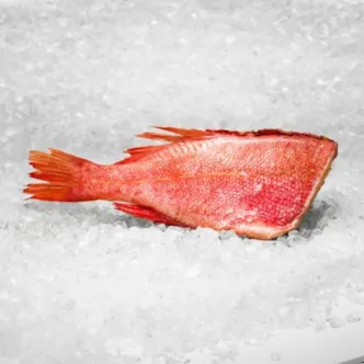 Zobrazit detail produktu - Redfish, rotbarsch - mořský okouník 1ks, 300-500g | 626 Obrázek Redfish, rotbarsch - mořský okouník 1ks, 300-500g