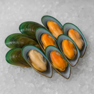 Zobrazit detail produktu - Slávky novozélandské -Green lipped Mussel  | 1221 Obrázek Slávky novozélandské -Green lipped Mussel