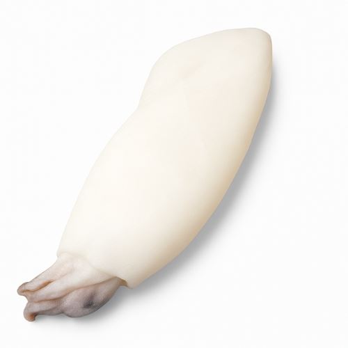 Obrázek Sépie obecná cca 400 g