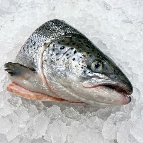 Obrázek BIO Skotský losos hlava cca 700g