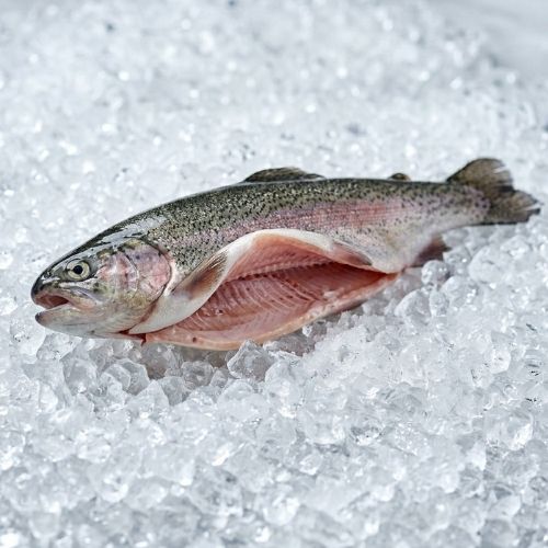 Obrázek z Pstruh duhový celý | Kuchaný, hluboce zmrazený po odlovu cca 250 g 