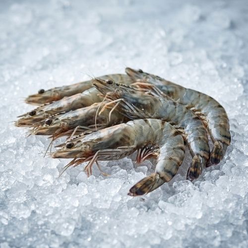 Obrázek Tygří krevety 8/12 celé s hlavou, nepředvařené | 800 g