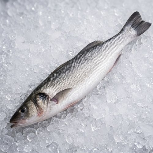 Obrázek Mořský vlk celý kuchaný 300 g | Řecko | Na gril i do trouby