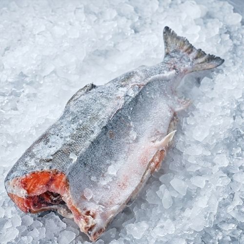 Obrázek Divoký losos nerka, kuchaný, bez hlavy cca 1,5 kg